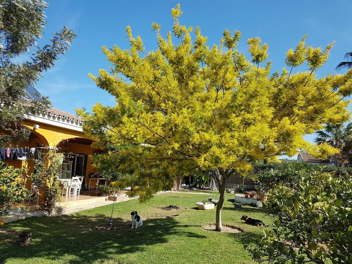 Finca La Gallina Blanca Alhaurin el Grande 0*,  Spain